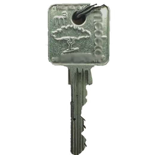 Medeco M3 metal key